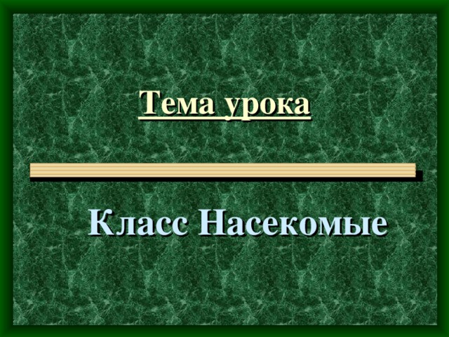 Тема урока Класс Насекомые 