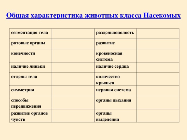 Общая характеристика животных класса Насекомых сегментация тела ротовые органы раздельнополость  конечности  развитие  наличие линьки кровеносная система отделы тела симметрия  наличие сердца количество крыльев способы передвижения нервная система развитие органов чувств органы дыхания органы выделения 