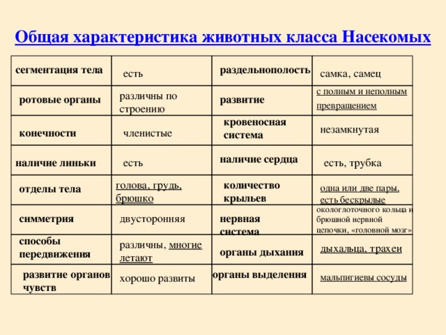 Общая характеристика животных класса Насекомых самка, самец  раздельнополость сегментация тела есть  с полным и неполным превращением  различны по строению  развитие  ротовые органы кровеносная  система  незамкнутая  конечности членистые  есть, трубка  наличие  сердца наличие  линьки есть  голова, грудь, брюшко  количество крыльев одна или две пары, есть бескрылые  отделы  тела окологлоточного кольца и брюшной нервной цепочки, «головной мозг»  нервная система  симметрия  двусторонняя  способы передвижения различны, многие летают  дыхальца, трахеи  органы дыхания развитие органов чувств органы выделения хорошо развиты  мальпигиевы сосуды  