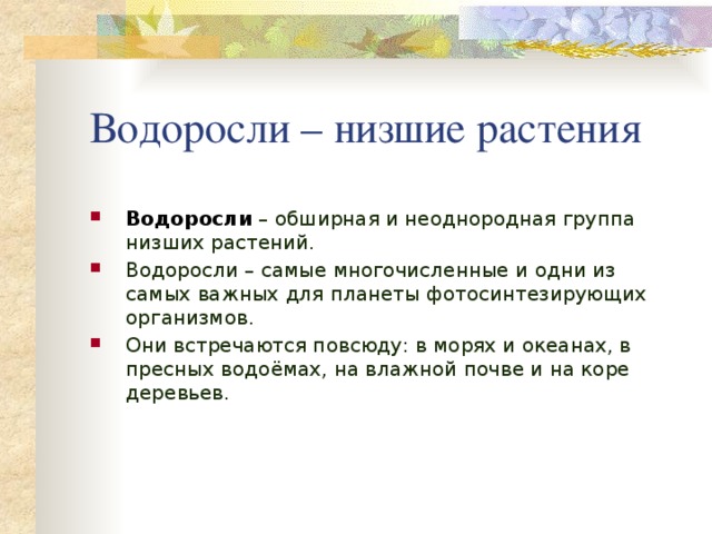 Водоросли – низшие растения Водоросли – обширная и неоднородная группа низших растений. Водоросли – самые многочисленные и одни из самых важных для планеты фотосинтезирующих организмов. Они встречаются повсюду: в морях и океанах, в пресных водоёмах, на влажной почве и на коре деревьев. 