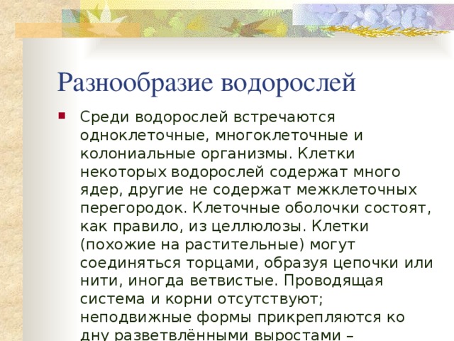 Разнообразие водорослей Среди водорослей встречаются одноклеточные, многоклеточные и колониальные организмы. Клетки некоторых водорослей содержат много ядер, другие не содержат межклеточных перегородок. Клеточные оболочки состоят, как правило, из целлюлозы. Клетки (похожие на растительные) могут соединяться торцами, образуя цепочки или нити, иногда ветвистые. Проводящая система и корни отсутствуют; неподвижные формы прикрепляются ко дну разветвлёнными выростами – ризоидами . 