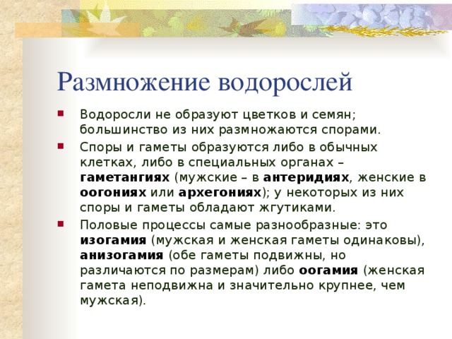 Размножение водорослей  Водоросли не образуют цветков и семян; большинство из них размножаются спорами. Споры и гаметы образуются либо в обычных клетках, либо в специальных органах – гаметангиях (мужские – в антеридиях , женские в оогониях или архегониях ); у некоторых из них споры и гаметы обладают жгутиками. Половые процессы самые разнообразные: это изогамия (мужская и женская гаметы одинаковы), анизогамия (обе гаметы подвижны, но различаются по размерам) либо оогамия (женская гамета неподвижна и значительно крупнее, чем мужская). 
