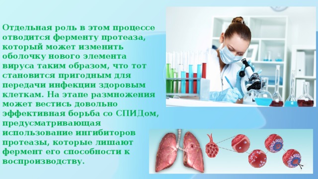 Отдельная роль в этом процессе отводится ферменту протеаза, который может изменить оболочку нового элемента вируса таким образом, что тот становится пригодным для передачи инфекции здоровым клеткам. На этапе размножения может вестись довольно эффективная борьба со СПИДом, предусматривающая использование ингибиторов протеазы, которые лишают фермент его способности к воспроизводству.   