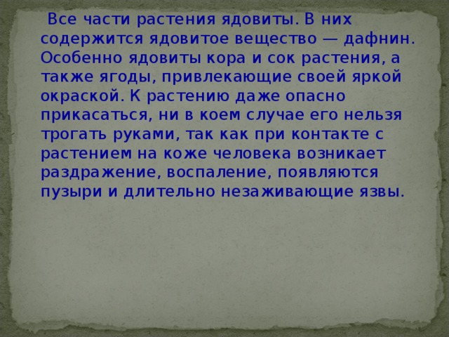  Все части растения ядовиты. В них содержится ядовитое вещество — дафнин. Особенно ядовиты кора и сок растения, а также ягоды, привлекающие своей яркой окраской. К растению даже опасно прикасаться, ни в коем случае его нельзя трогать руками, так как при контакте с растением на коже человека возникает раздражение, воспаление, появляются пузыри и длительно незаживающие язвы.   