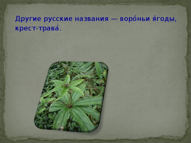  Другие русские названия — воро́ньи я́годы,  крест-трава́. 