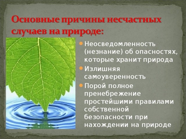 Неосведомленность (незнание) об опасностях, которые хранит природа Излишняя самоуверенность Порой полное пренебрежение простейшими правилами собственной безопасности при нахождении на природе 