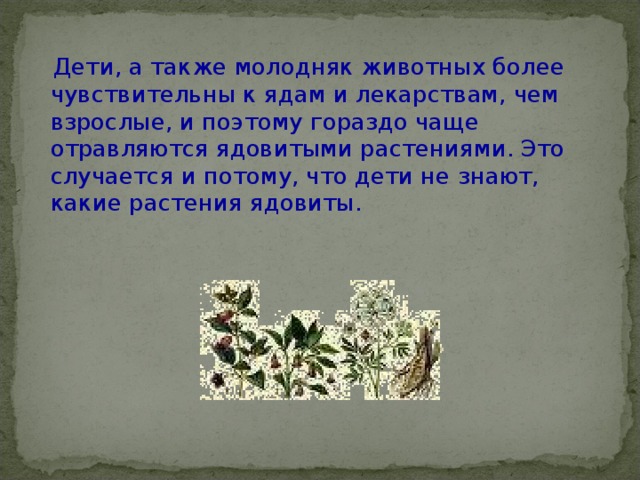  Дети, а также молодняк животных более чувствительны к ядам и лекарствам, чем взрослые, и поэтому гораздо чаще отравляются ядовитыми растениями. Это случается и потому, что дети не знают, какие растения ядовиты.   