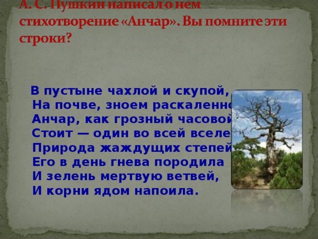     В пустыне чахлой и скупой,  На почве, зноем раскаленной,  Анчар, как грозный часовой,  Стоит — один во всей вселенной.  Природа жаждущих степей  Его в день гнева породила  И зелень мертвую ветвей,  И корни ядом напоила.     