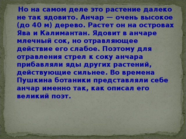 Но на самом деле это растение далеко не так ядовито. Анчар — очень высокое (до 40 м) дерево. Растет он на островах Ява и Калимантан. Ядовит в анчаре млечный сок, но отравляющее действие его слабое. Поэтому для отравления стрел к соку анчара прибавляли яды других растений, действующие сильнее. Во времена Пушкина ботаники представляли себе анчар именно так, как описал его великий поэт.    