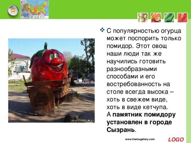 С популярностью огурца может поспорить только помидор. Этот овощ наши люди так же научились готовить разнообразными способами и его востребованность на столе всегда высока – хоть в свежем виде, хоть в виде кетчупа. А  памятник помидору установлен в городе Сызрань .    www.themegallery.com 