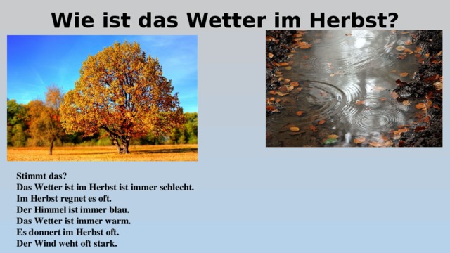 Wie ist das Wetter im Herbst? Stimmt das? Das Wetter ist im Herbst ist immer schlecht. Im Herbst regnet es oft. Der Himmel ist immer blau. Das Wetter ist immer warm. Es donnert im Herbst oft. Der Wind weht oft stark. 