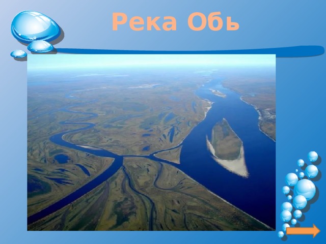Река Обь 
