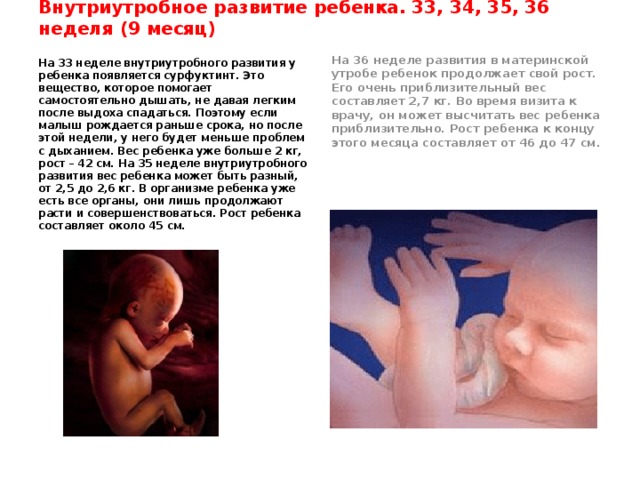 Внутриутробное развитие ребенка. 33, 34, 35, 36 неделя (9 месяц) На 33 неделе внутриутробного развития у ребенка появляется сурфуктинт. Это вещество, которое помогает самостоятельно дышать, не давая легким после выдоха спадаться. Поэтому если малыш рождается раньше срока, но после этой недели, у него будет меньше проблем с дыханием. Вес ребенка уже больше 2 кг, рост – 42 см. На 35 неделе внутриутробного развития вес ребенка может быть разный, от 2,5 до 2,6 кг. В организме ребенка уже есть все органы, они лишь продолжают расти и совершенствоваться. Рост ребенка составляет около 45 см. На 36 неделе развития в материнской утробе ребенок продолжает свой рост. Его очень приблизительный вес составляет 2,7 кг. Во время визита к врачу, он может высчитать вес ребенка приблизительно. Рост ребенка к концу этого месяца составляет от 46 до 47 см. 