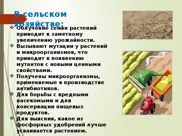 В сельском хозяйстве: Облучение семян растений приводит к заметному увеличению урожайности. Вызывают мутации у растений и микроорганизмов, что приводит к появлению мутантов с новыми ценными свойствами. Получены микроорганизмы, применяемые в производстве антибиотиков. Для борьбы с вредными насекомыми и для консервации пищевых продуктов. Для выясния, какое из фосфорных удобрений лучше усваивается растением. 
