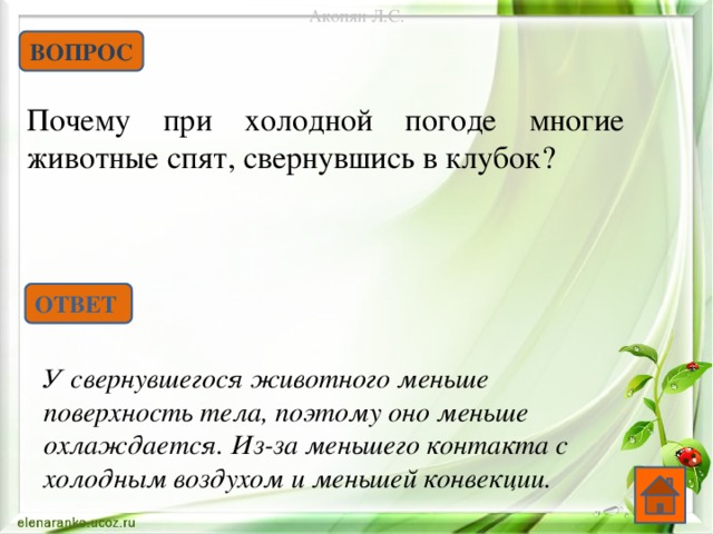 Акопян Л.С. ВОПРОС Почему при холодной погоде многие животные спят, свернувшись в клубок? ОТВЕТ У свернувшегося животного меньше поверхность тела, поэтому оно меньше охлаждается. Из-за меньшего контакта с холодным воздухом и меньшей конвекции.  