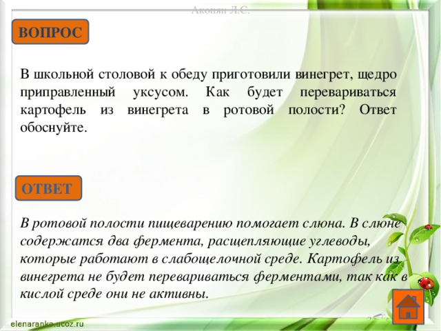 Акопян Л.С. ВОПРОС В школьной столовой к обеду приготовили винегрет, щедро приправленный уксусом. Как будет перевариваться картофель из винегрета в ротовой полости? Ответ обоснуйте. ОТВЕТ В ротовой полости пищеварению помогает слюна. В слюне содержатся два фермента, расщепляющие углеводы, которые работают в слабощелочной среде. Картофель из винегрета не будет перевариваться ферментами, так как в кислой среде они не активны.  