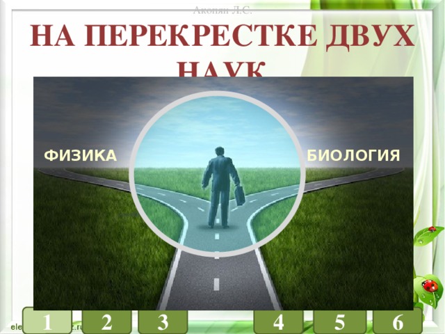 Акопян Л.С. На перекрестке двух наук ФИЗИКА ХИМИЯ ФИЗИКА БИОЛОГИЯ БИОЛОГИЯ 1 4 3 6 5 2 