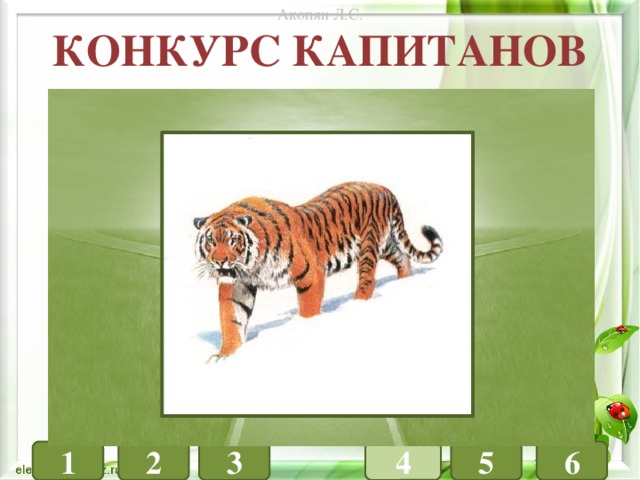 Акопян Л.С. Конкурс капитанов ФИЗИКА ХИМИЯ БИОЛОГИЯ 6 1 3 5 4 2 