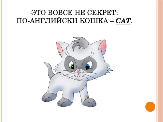 Это вовсе не секрет:  По-английски кошка – cat . 