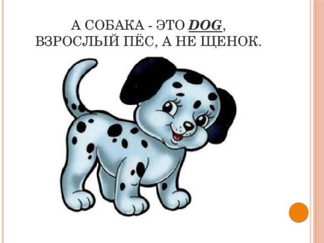 А собака - это  dog ,  Взрослый пёс, а не щенок. 