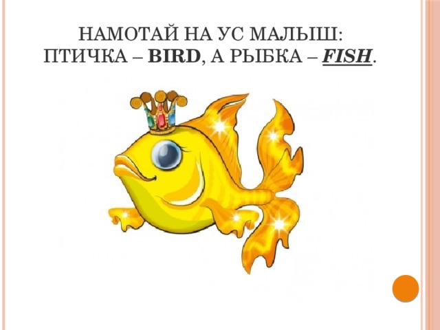 Намотай на ус малыш:  Птичка –  bird , а рыбка –  fish . 