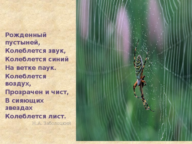 Рожденный пустыней, Колеблется звук, Колеблется синий На ветке паук. Колеблется воздух, Прозрачен и чист, В сияющих звездах Колеблется лист. Н.А. Заболоцкий  