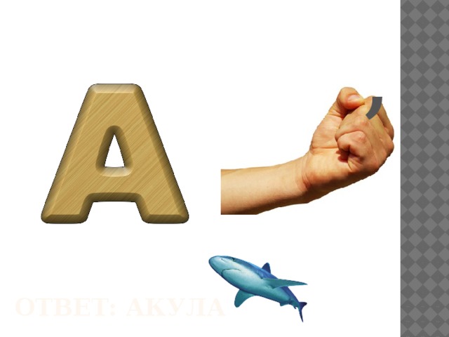 , Ответ: Акула 