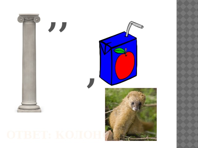 ,, , Ответ: Колонок 