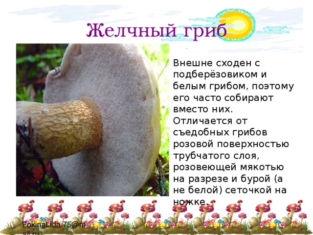 Желчный гриб Внешне сходен с подберёзовиком и белым грибом, поэтому его часто собирают вместо них. Отличается от съедобных грибов розовой поверхностью трубчатого слоя, розовеющей мякотью на разрезе и бурой (а не белой) сеточкой на ножке. 