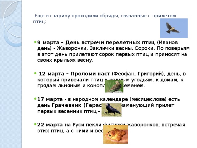   Еще в старину проходили обряды, связанные с прилетом птиц:   9 марта – День встречи перелетных птиц (Иванов день) - Жаворонки, Заклички весны, Сороки. По поверьям в этот день прилетают сорок первых птиц и приносят на своих крыльях весну.  12 марта – Проломи наст (Феофан, Григорий), день, в который привечали птиц к родным угодьям, к домам, к грядам льняным и конопляным семенем. 17 марта - в народном календаре (месяцеслове) есть день Грачевник (Герасим,), знаменующий прилет первых весенних птиц – грачей. 22 марта на Руси пекли фигурки жаворонков, встречая этих птиц, а с ними и весну. 