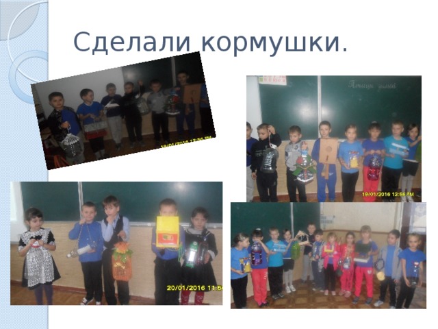 Сделали кормушки. 