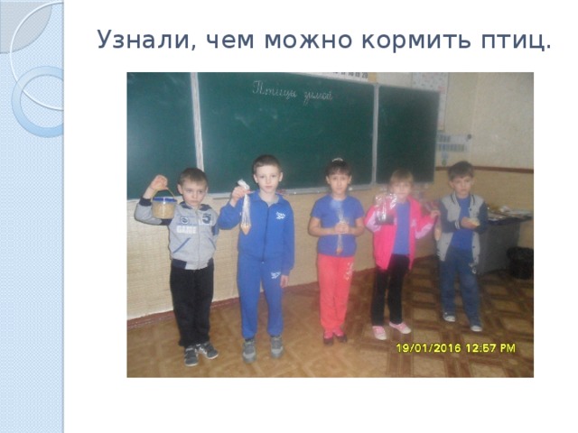 Узнали, чем можно кормить птиц.   