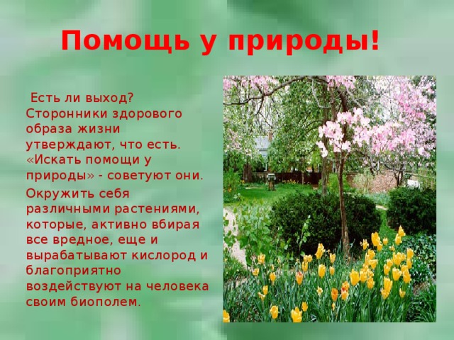Помощь у природы!  Есть ли выход? Сторонники здорового образа жизни утверждают, что есть. «Искать помощи у природы» - советуют они. Окружить себя различными растениями, которые, активно вбирая все вредное, еще и вырабатывают кислород и благоприятно воздействуют на человека своим биополем. 