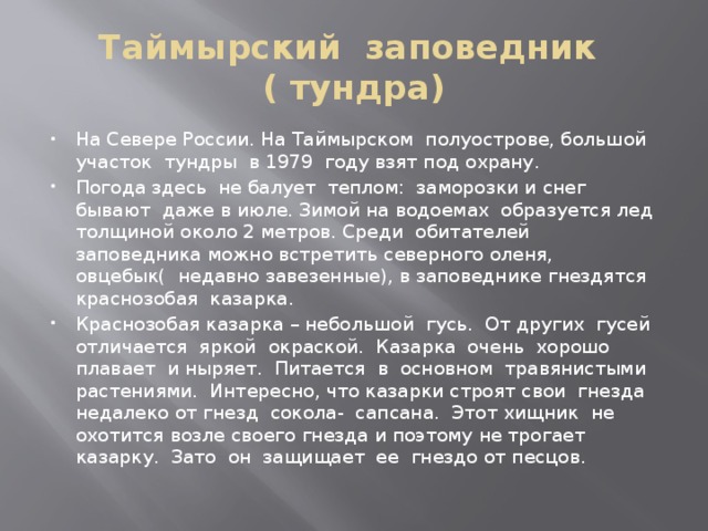 Таймырский заповедник  ( тундра) На Севере России. На Таймырском полуострове, большой участок тундры в 1979 году взят под охрану. Погода здесь не балует теплом: заморозки и снег бывают даже в июле. Зимой на водоемах образуется лед толщиной около 2 метров. Среди обитателей заповедника можно встретить северного оленя, овцебык( недавно завезенные), в заповеднике гнездятся краснозобая казарка. Краснозобая казарка – небольшой гусь. От других гусей отличается яркой окраской. Казарка очень хорошо плавает и ныряет. Питается в основном травянистыми растениями. Интересно, что казарки строят свои гнезда недалеко от гнезд сокола- сапсана. Этот хищник не охотится возле своего гнезда и поэтому не трогает казарку. Зато он защищает ее гнездо от песцов. 