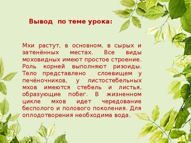     Вывод по теме урока:      Мхи растут, в основном, в сырых и затенённых местах. Все виды моховидных имеют простое строение. Роль корней выполняют ризоиды. Тело представлено слоевищем у печёночников, у листостебельных мхов имеются стебель и листья, образующие побег. В жизненном цикле мхов идет чередование бесполого и полового поколения. Для оплодотворения необходима вода. 