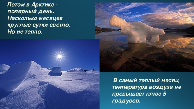 Летом в Арктике - полярный день. Несколько месяцев круглые сутки светло. Но не тепло.  В самый теплый месяц температура воздуха не превышает плюс 5 градусов.  