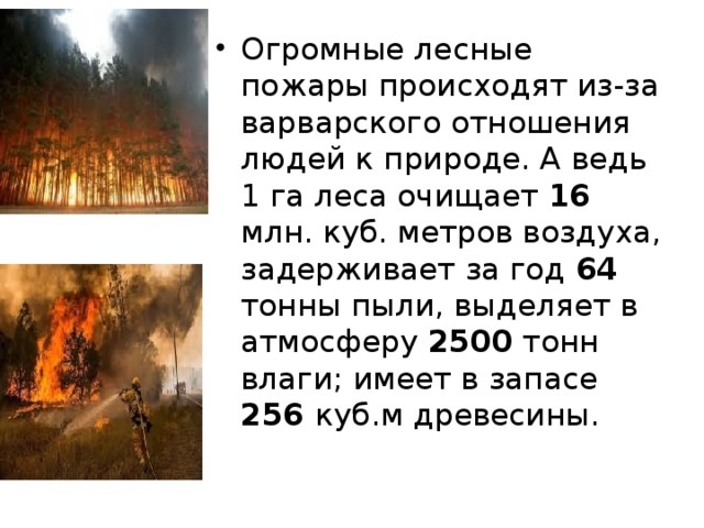 Огромные лесные пожары происходят из-за варварского отношения людей к природе. А ведь 1 га леса очищает 16 млн. куб. метров воздуха, задерживает за год 64 тонны пыли, выделяет в атмосферу 2500 тонн влаги; имеет в запасе 256 куб.м древесины. 