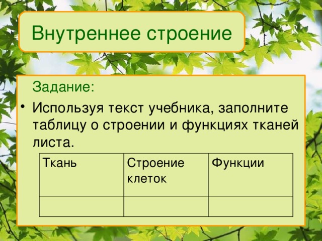 Внутреннее строение  Задание: Используя текст учебника, заполните таблицу о строении и функциях тканей листа. Ткань Строение клеток Функции 