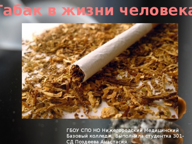 Табак в жизни человека. ГБОУ СПО НО Нижегородский Медицинский Базовый колледж. Выполнила студентка 301-СД Поздеева Анастасия. 