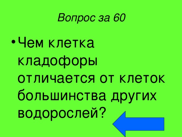 Вопрос за 60 Чем клетка кладофоры отличается от клеток большинства других водорослей? 