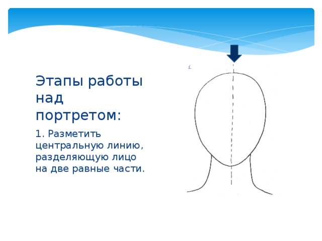 Этапы работы над портретом: 1. Разметить центральную линию, разделяющую лицо на две равные части. 