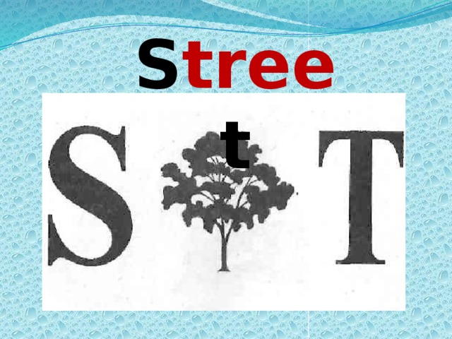 S tree t  