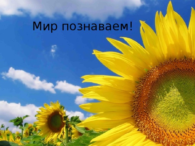 Мир познаваем! 