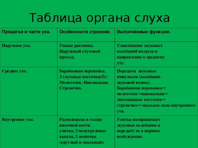 Таблица органа слуха Придатки и части уха. Особенности строения. Наружное ухо. Выполняемые функции. Ушная раковина. Наружный слуховой проход. Среднее ухо. Улавливание звуковых колебаний воздуха и направление к среднему уху. Барабанная перепонка. 3 слуховые косточки(5г) Молоточек. Наковальня. Стремечко. Внутреннее ухо. Передача звуковых импульсов (колебание звуковой волны). Барабанная перепонка→ молоточек→наковальня→ линзовидные косточки→ стремечко→ овальное окно внутреннего уха. Расположено в толще височной кости. улитка, 3 полукружных канала, 2 мешочка (круглый и овальный). Улитка воспринимает звуковые колебания и передаёт их в нервное возбуждение. 