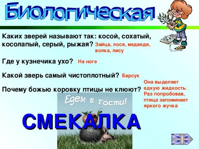 Каких зверей называют так: косой, сохатый, косолапый, серый, рыжая? Зайца, лося, медведя, волка, лису Где у кузнечика ухо? На ноге Какой зверь самый чистоплотный? Барсук Она выделяет едкую жидкость. Раз попробовав, птица запоминает яркого жучка Почему божью коровку птицы не клюют? СМЕКАЛКА 