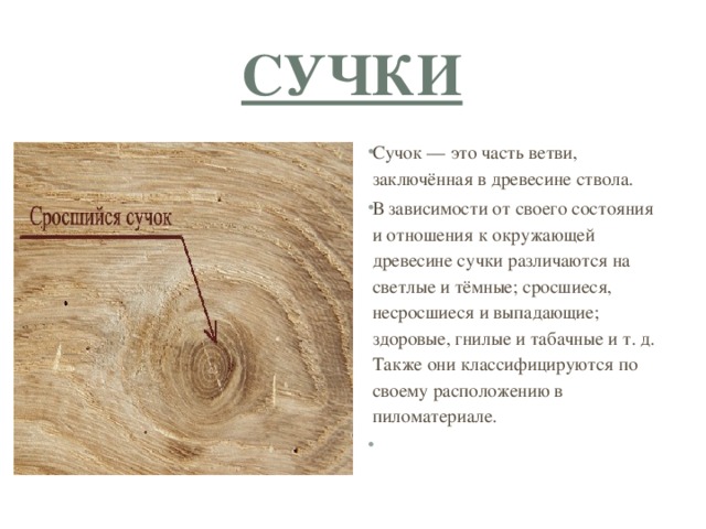 сучки Сучок — это часть ветви, заключённая в древесине ствола. В зависимости от своего состояния и отношения к окружающей древесине сучки различаются на светлые и тёмные; сросшиеся, несросшиеся и выпадающие; здоровые, гнилые и табачные и т. д. Также они классифицируются по своему расположению в пиломатериале.   