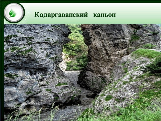 Цейский ледник Кадаргаванский  каньон 