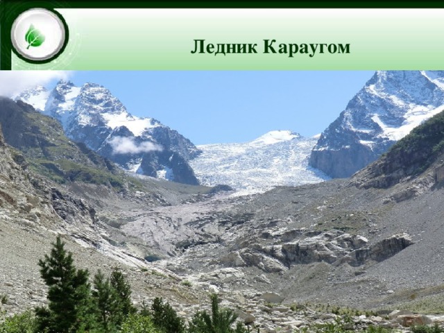 Цейский ледник Ледник Караугом 