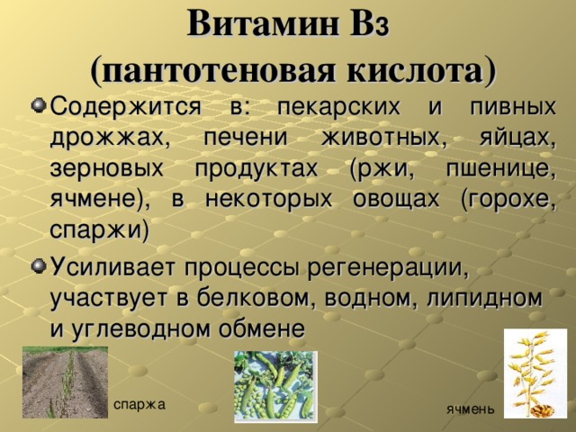 Витамин В 3  (пантотеновая кислота) Содержится в: пекарских и пивных дрожжах, печени животных, яйцах, зерновых продуктах (ржи, пшенице, ячмене), в некоторых овощах (горохе, спаржи) Усиливает процессы регенерации, участвует в белковом, водном, липидном и углеводном обмене спаржа ячмень 