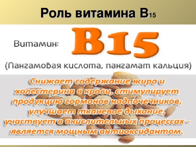 Роль витамина В 15 